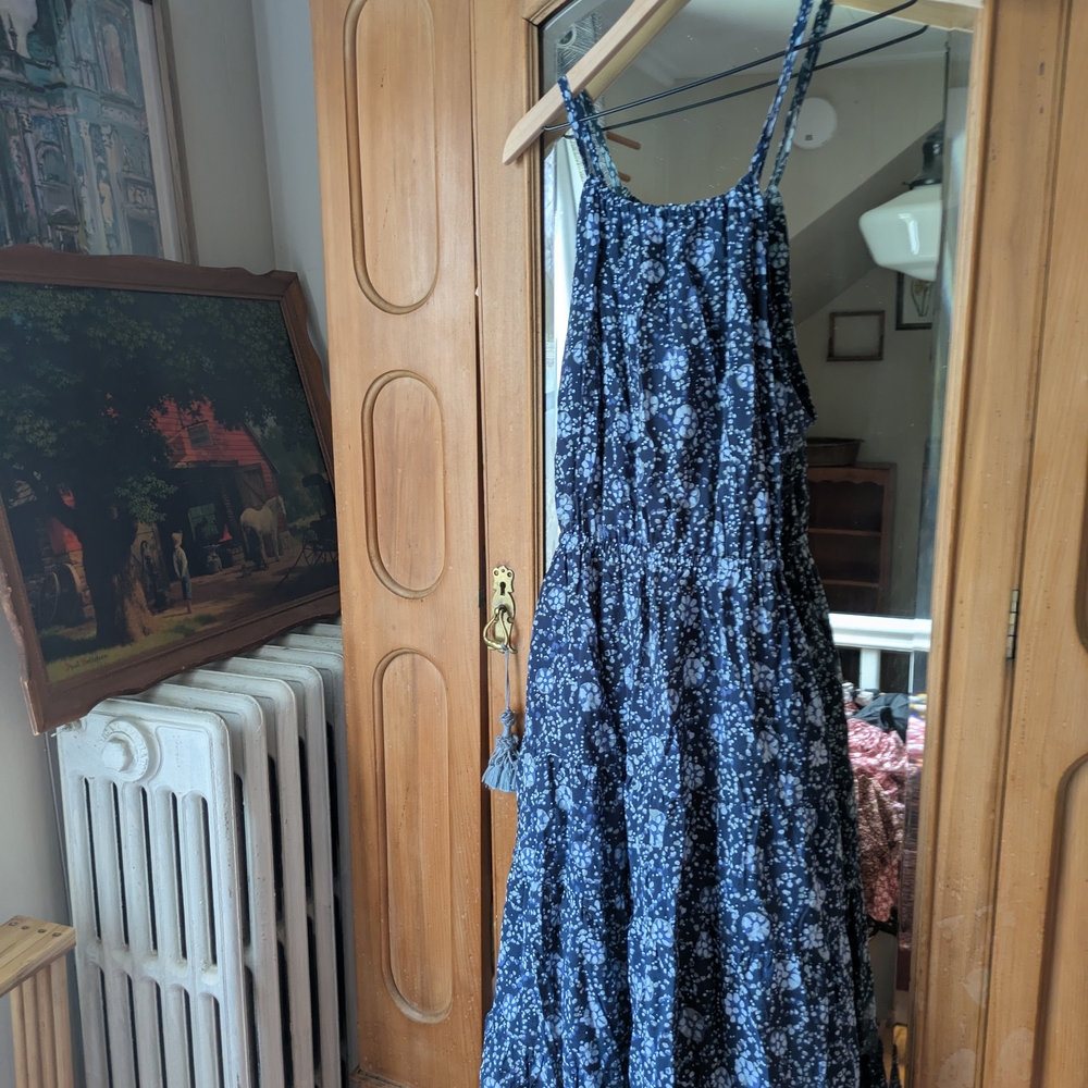 Floral Blue Dress
